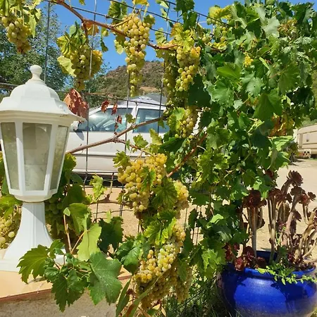 Les Restanques Du Sud Апартаменты *