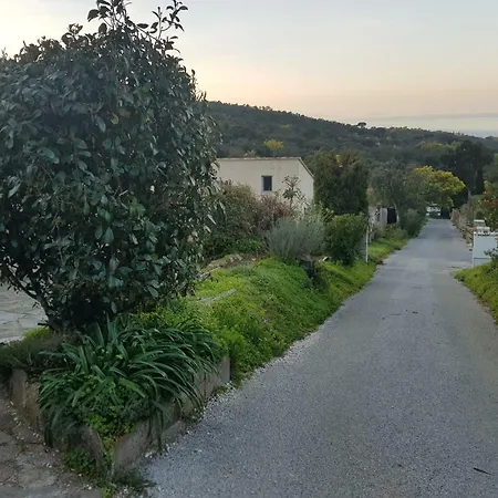 Les Restanques Du Sud * Le Lavandou