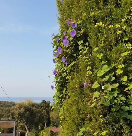 Les Restanques Du Sud Apartman *